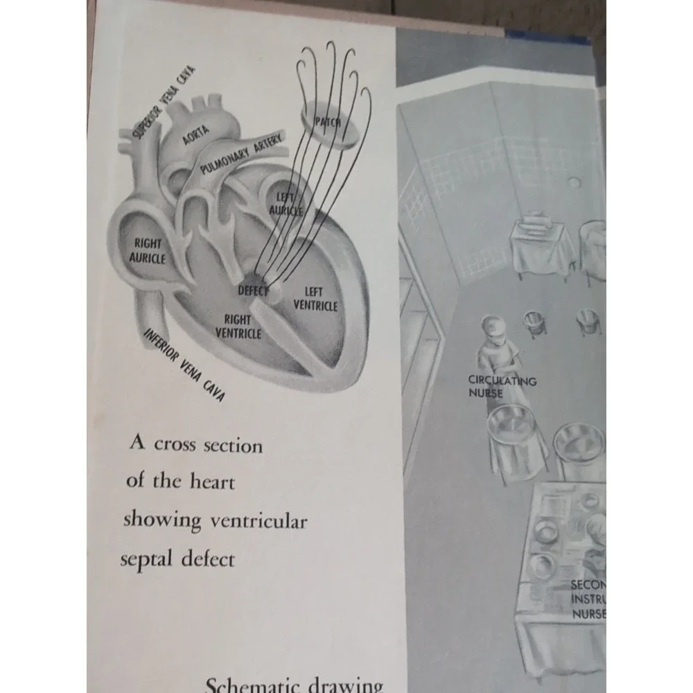 The‎ Operation Leonard Engel